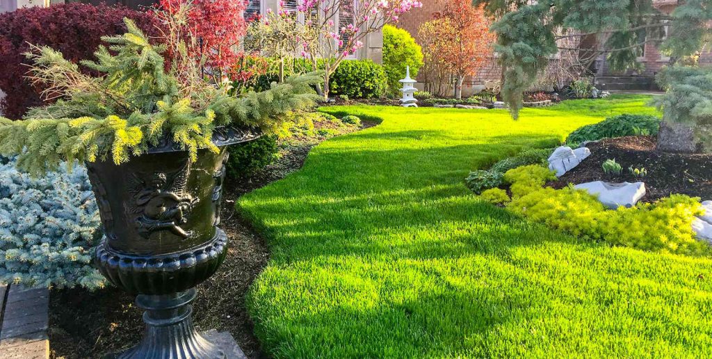 Trusted Landscape Designer in Stafford, VA Landscape Designer